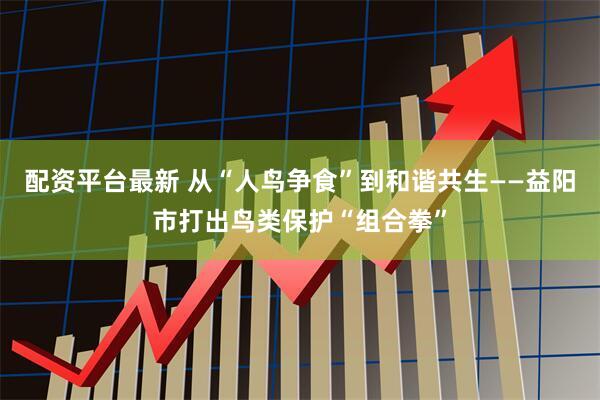 配资平台最新 从“人鸟争食”到和谐共生——益阳市打出鸟类保护“组合拳”